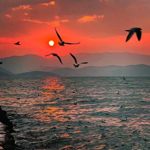 无名的人DJ（DJ-VINA remix）