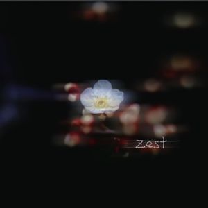 你会听我分享的歌吗