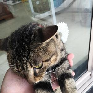 GUONAN prod 无锡EMO教父