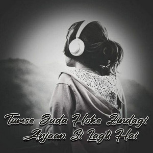 Har Pal Tujhe Bhoolne Ki Koshish Ki