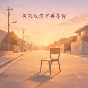 後來我沒有再等你