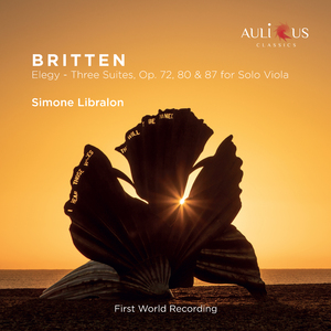 Suite No. 2, Op. 80: V. Ciaccona: Allegro