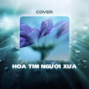 Hoa Tím Người Xưa (Cover)