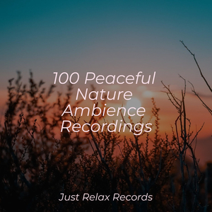 Interstellar Illusionarium