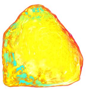 매미는 겨울 꿈을 꾼다