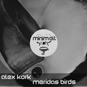 Meridas Birds (Koett Remix)