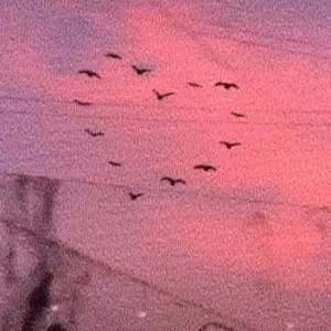 多巴胺(Prod By 9Zi)