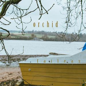 Orchid
