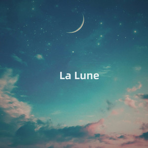 Like a Falling Star Hovered around the Moon