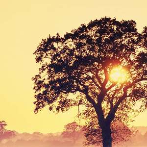 三十岁的女人（吉他版）