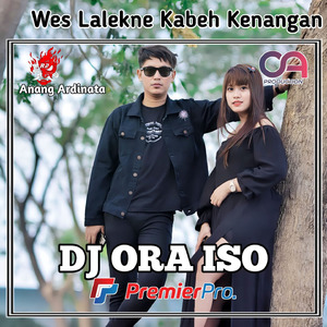 Dj Wes Lalekne Kabeh Kenangan Ora Iso