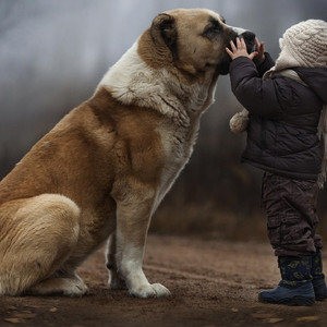 My father told a lie to me