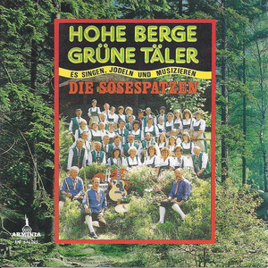 Dunkle Tannen stehen