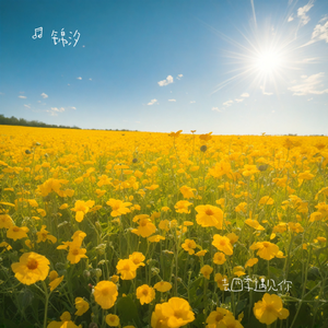 去四季遇见你
