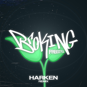 Broking Freestyle (HARKEN Remix)