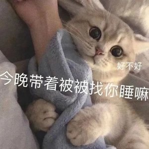 你是我的女朋（RAP嗷!）