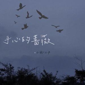 手心的蔷薇（翻自 林俊杰）