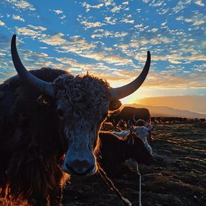 RA7O(pro by.ObieDaz)