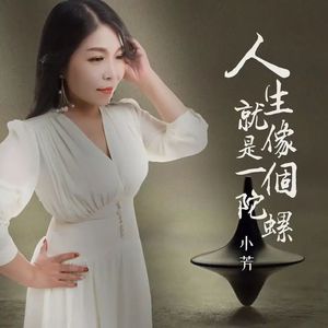 人生就像是一个陀螺 (DJ版)