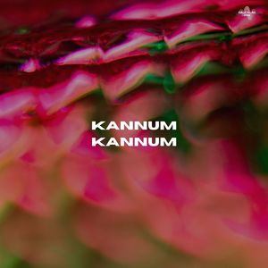 Kannum Kannum Kaathirunnu Remix