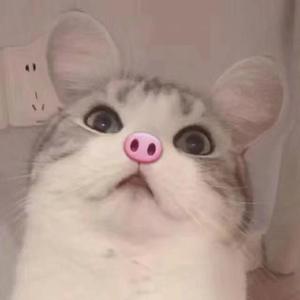 别人家的小孩（翻自 创造101女孩）