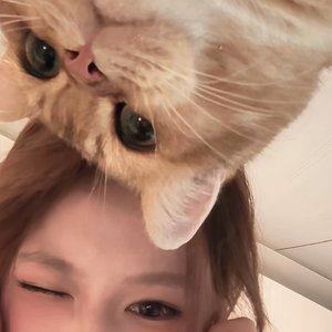 没关系是爱情啊