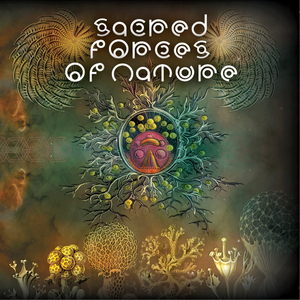 Insomnivore (Original Mix)