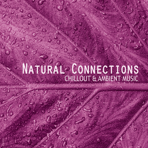 Corallo (Polynoiz Remix)