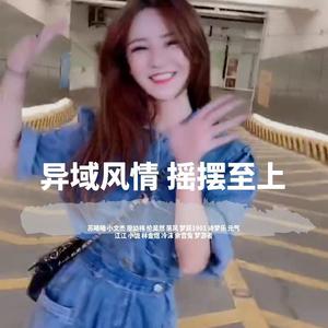 异域风情 摇摆至上（dj小烨子rimx版）