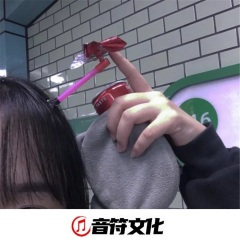 英文摇头舞曲 四川 (DJ版)