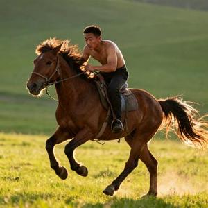 纵马 (王一佳 Remix)