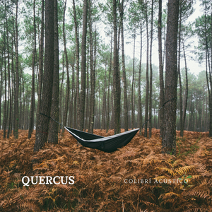 Quercus