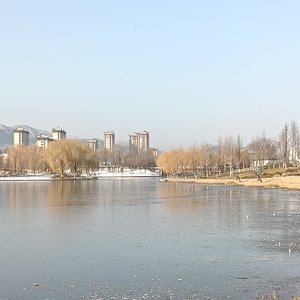 来到网易云