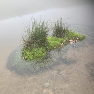 瀬戸内ふるさと