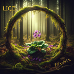 Lice