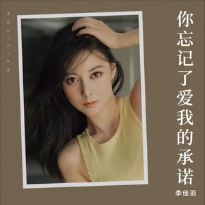 你忘记了爱我的承诺 (DJ阿能版伴奏)