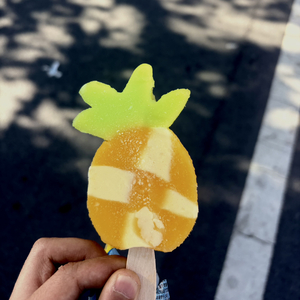 子月无晚霞