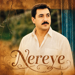 Nereye