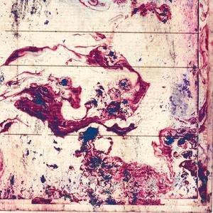 Violin Sonata No. 1 in G Minor, BWV 1001 (Arr. for String Quartet by Bernie Mallinger): II. Fuga