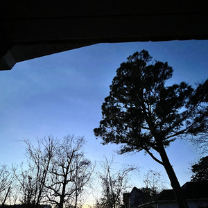 I Was Always That Monster