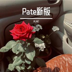 Pate新版