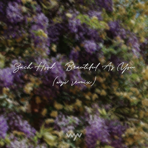 Zach Hood - Beautiful As You (wyv Remix)