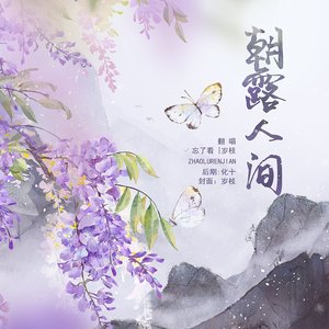 朝露人间