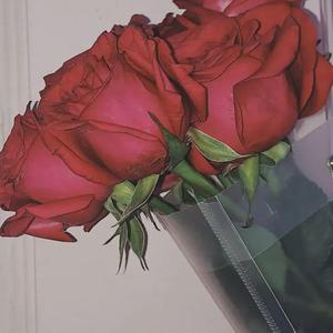 一·月（Prod.Kayzee/CuD）