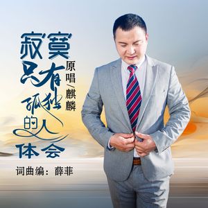 寂寞只有孤独的人在体会 伴奏