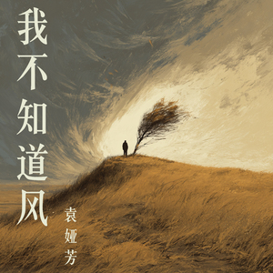 我不知道风