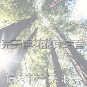 抚慰的浪漫的晚餐回忆