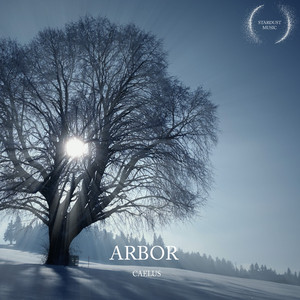 Arbor
