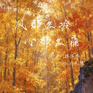 人间老顾-风那么冷心那么痛（摇摆版）