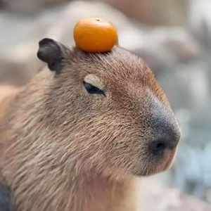 誰にも見えない隅よ